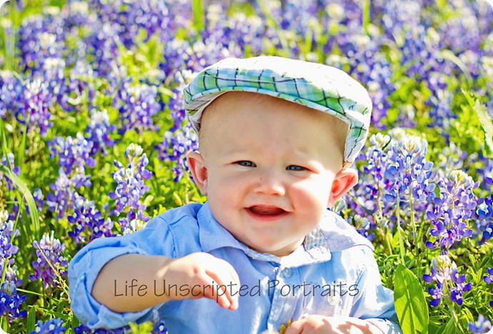 jcbluebonnets-01WEB