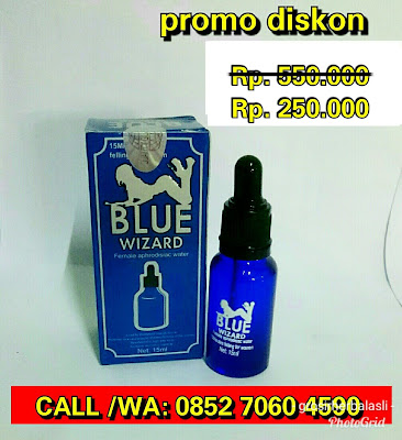 Blue Wizard Asli Surabaya