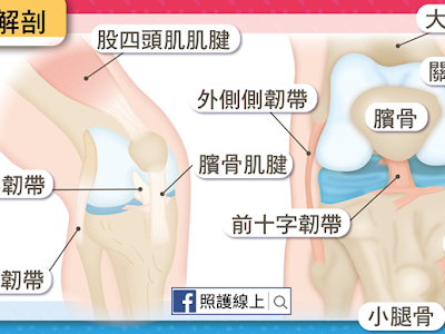 √100以上 膝蓋 腱 損傷 218304-膝蓋腱損傷 治療