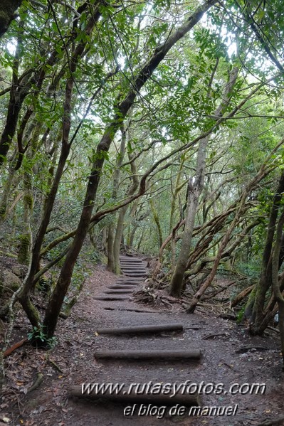 Sendero de los Sentidos - Sendero de los Enigmas