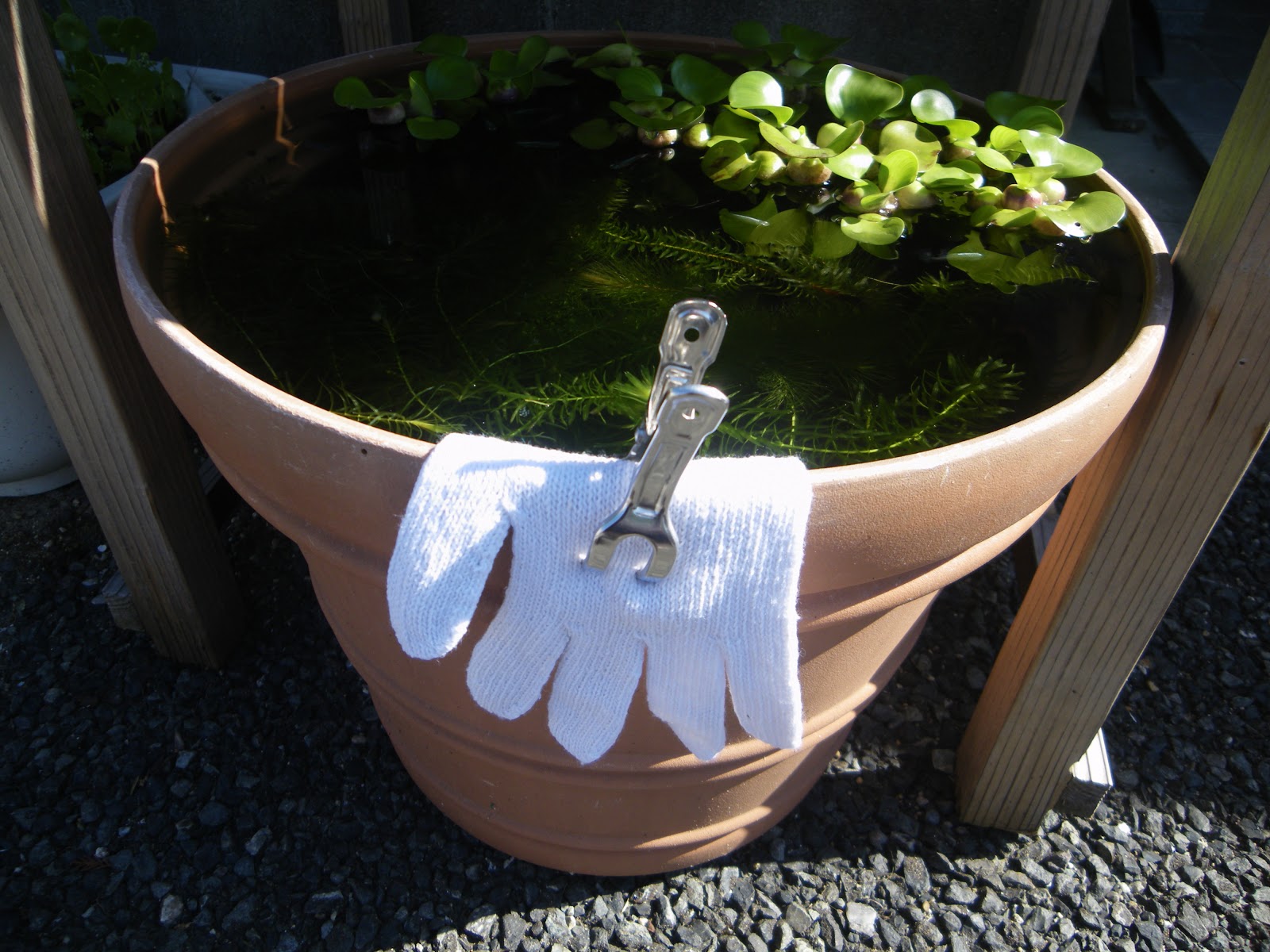 メダカのビオトープに屋根を製作 雨対策 夏の日差し対策 越冬対策 メダカの大工
