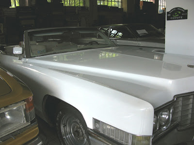 Cadillac - Muzeum Samochodów - Otrębusy