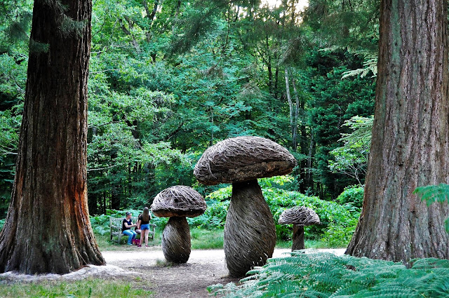 Days Out in Sussex - Wakehurst Botanic Gardens photo by modernbricabrac