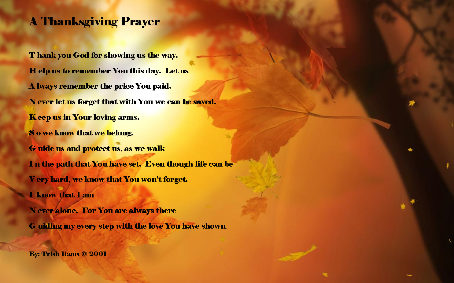 Happy Thanksgiving Prayer  Car Interior Design