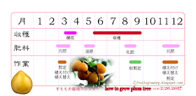 スモモの木の育て方 栽培カレンダー