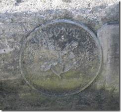 NTPlaque