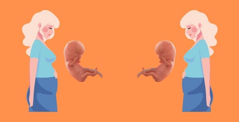 గర్భం 11వ వారం: శిశువు అభివృద్ధి | 11th week of pregnancy: Baby's development