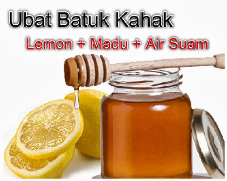 UBAT BATUK SEMULAJADI