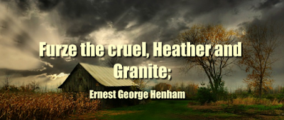 Furze the cruel, Heather and Granite