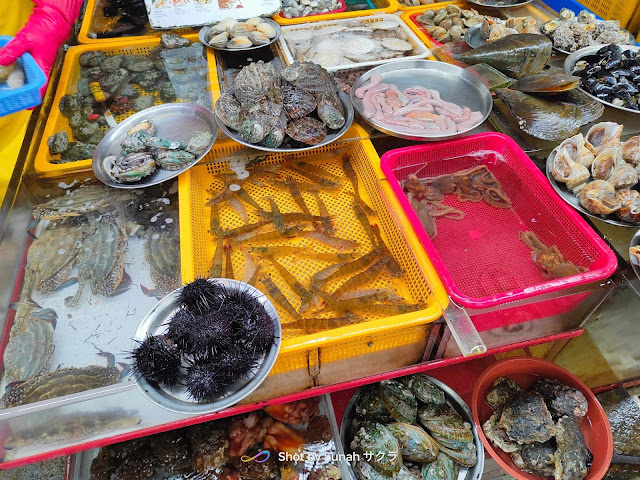 Pergi Jagalchi Market Beli Seafood