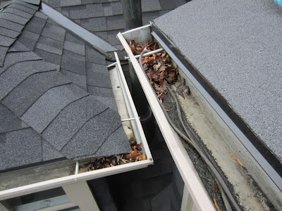 draining rainwater 5" eavestroughs 6" T-Rex Leafguard roof valleys