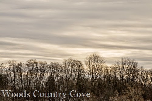 JANUARY 2015 (2 of 8)
