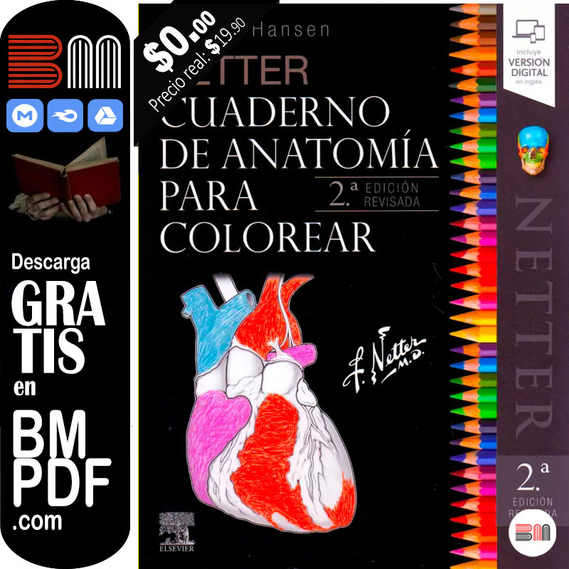 NETTER Cuaderno de anatomía para colorear 2 edición PDF