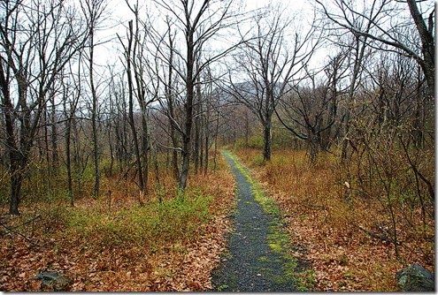 Loft Mountain Trail