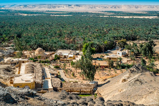 Fayoum oasis