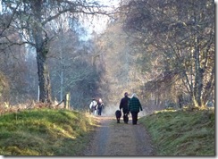 country walk nr feshiebridge