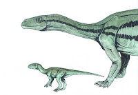 Mussasaurus