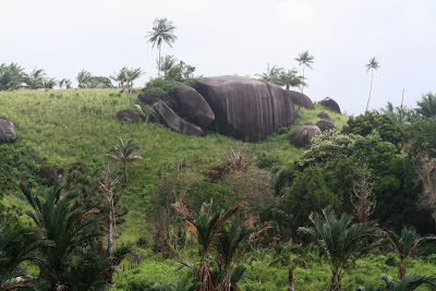 Big stone