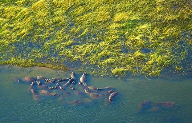 Mana Pools National Park