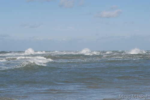 _DSC0488s