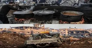 Hunger is killing Gaza and its children, Firewood is a haven for the displaced to cook food