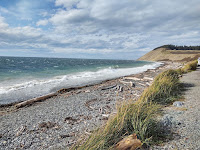 Ebey's Landing Beach, Whidbey Island, Washington, olhando para o norte, outubro de 2021