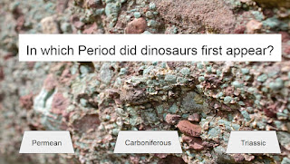 In which Period did dinosaurs first appear? Possible answers include: Permean, Carboniferous, Triassic