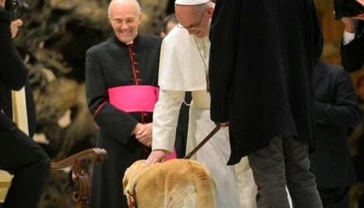 El Papa Francisco dice que los perros también van al cielo