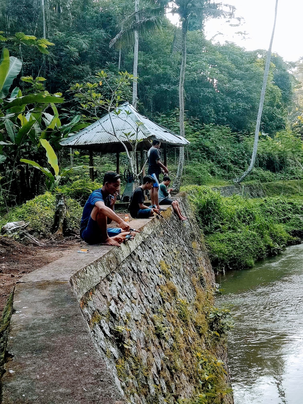33 Galeri Gambar Orang Mancing Di Sungai  Guyonreceh