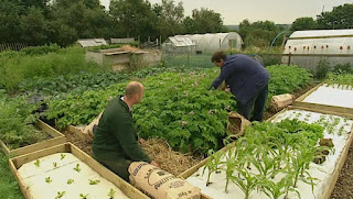 Monty looks as Adam's plants