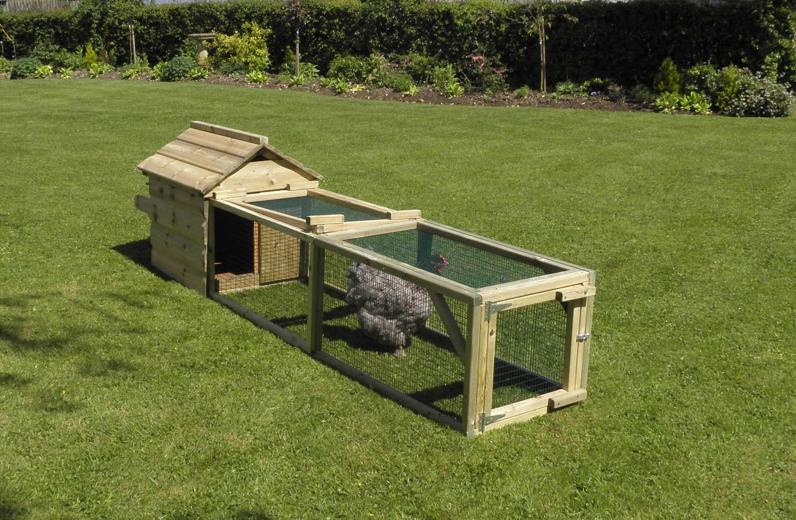 Flyte So Fancy: Broody Coops for Hens