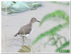 20110925_115509_040_TianLiaoyang