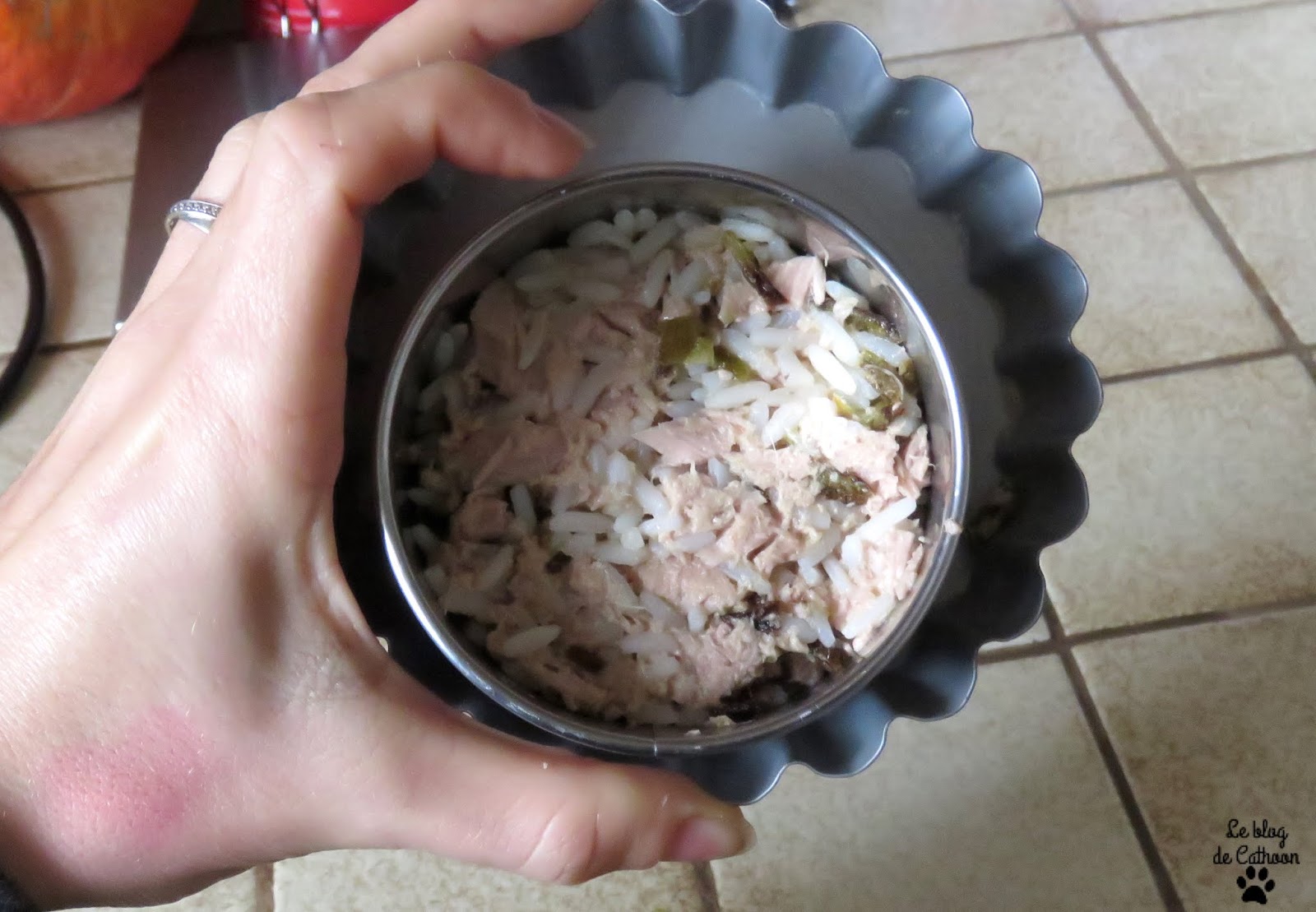 recette de paté pour chat