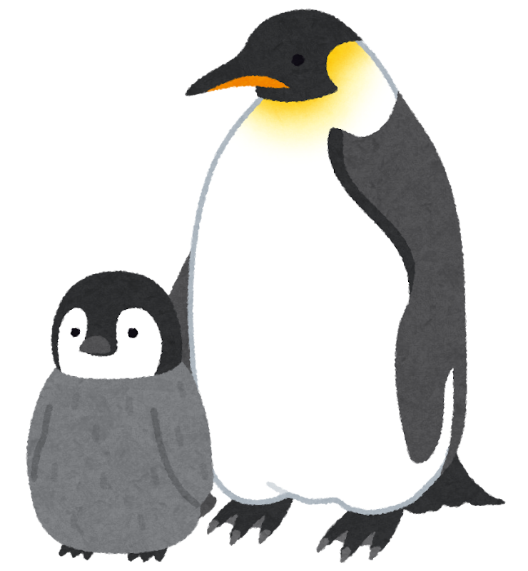ペンギンがいる関西の水族館 動物園 おすすめランキングbest6 Penguin Candy ペンギンキャンディー