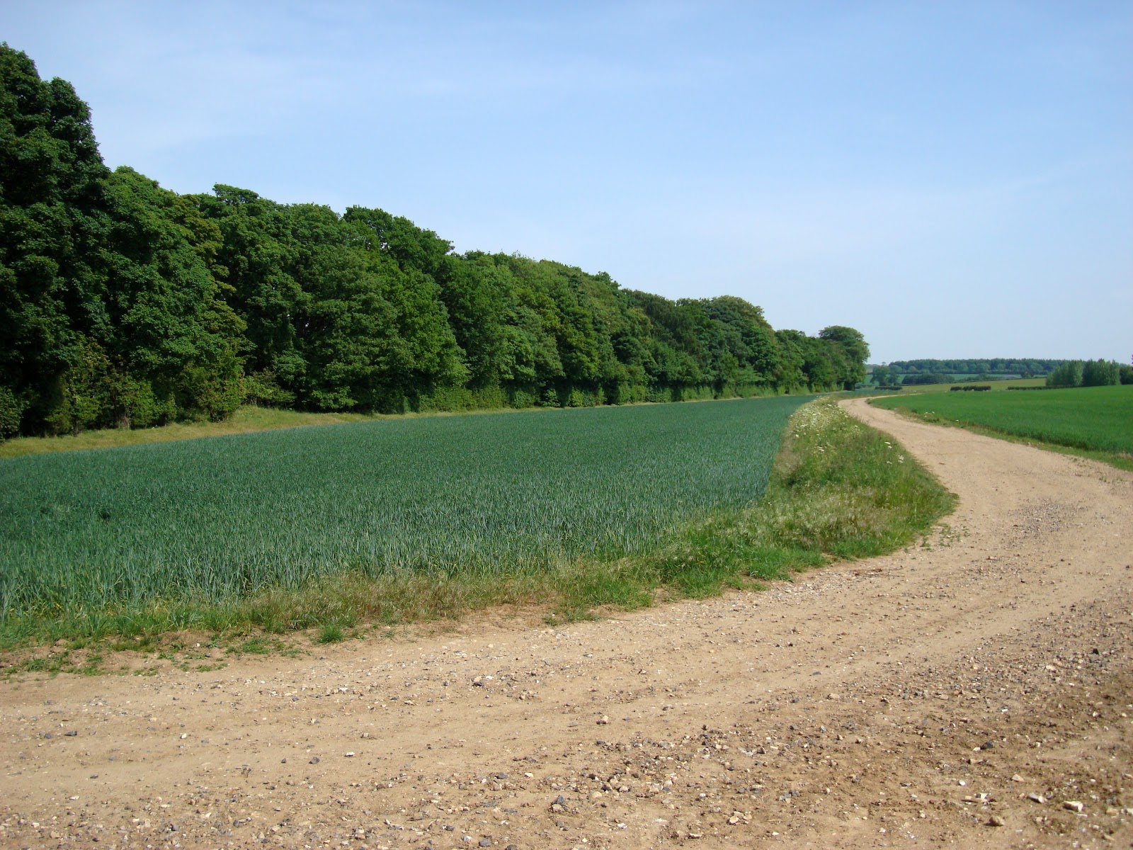 DSC08077.JPG