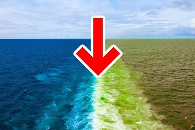 Why Do the Water in the Pacific And Atlantic Oceans have Two Different Colors?