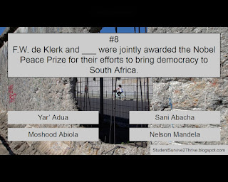 F.W. de Klerk and ___ were jointly awarded the Nobel Peace Prize for their efforts to bring democracy to South Africa. Answer choices include: Yar' Adua, Sani Abacha, Moshood Abiola, Nelson Mandela