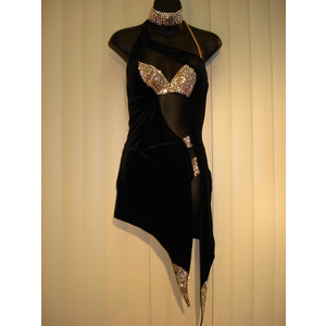 Ballroom Latin Dress4