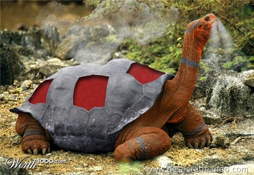real pokemon (3)
