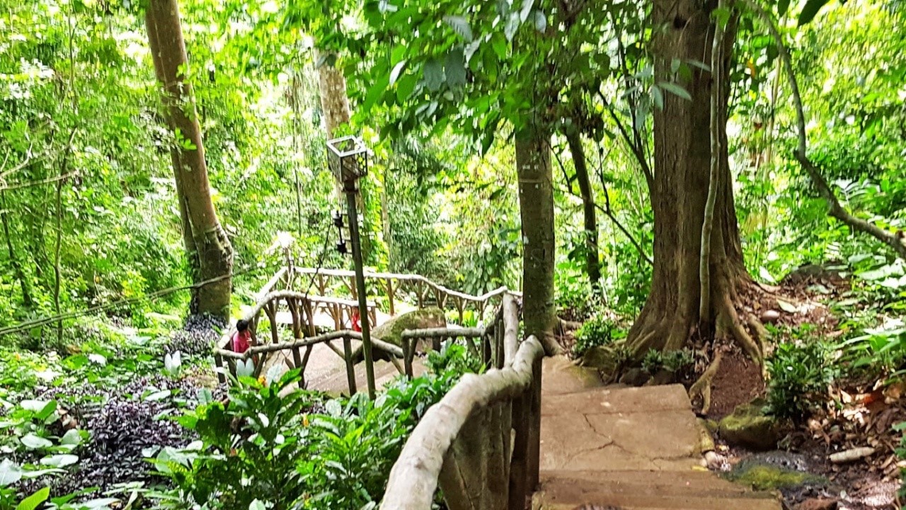 winding stairs going down to Tinago Falls Iligan