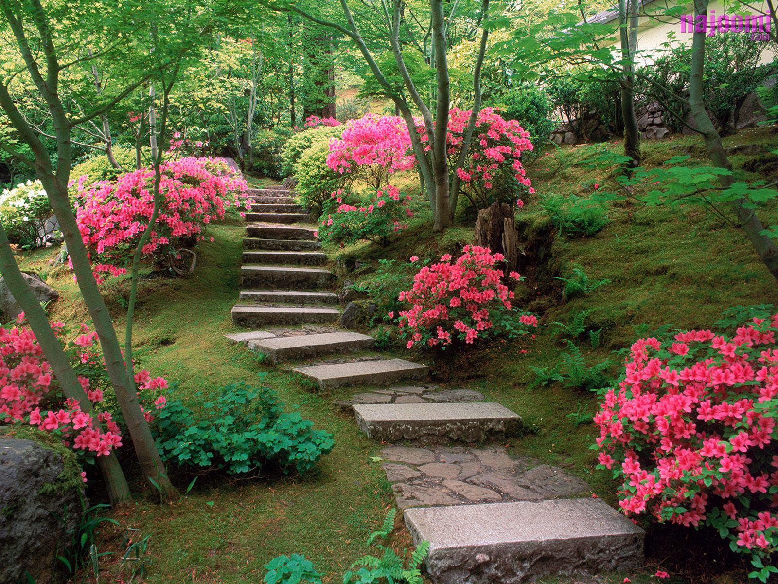 Beautiful gardens - Wonderful