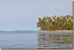 Resize of DSC_0011