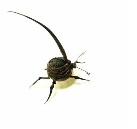 human-hair-insects6