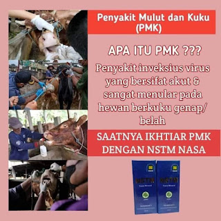 jual nstm untuk penyakut pmk