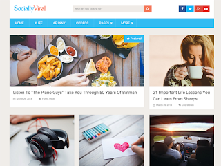 wordpress professional themes : SociallyViral Theme