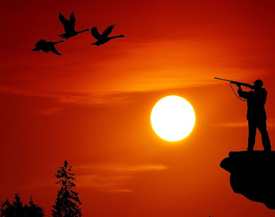 hunter stands on ledge, aims rifle at geese