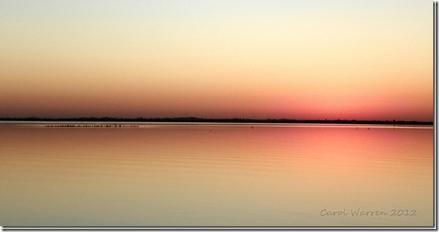 022cs_thumb[2]