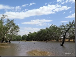 180318 029 Peak Hill  Bogan River Weir