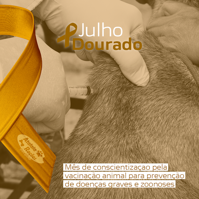 JULHO DOURADO - Importância Da Vacinação Em Cães E Gatos