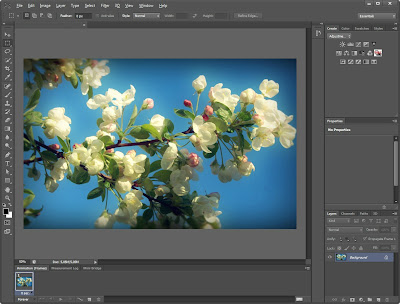 Adobe Photoshop CS6 v13.0 Pre Release with Keygen Full Version Free Download 